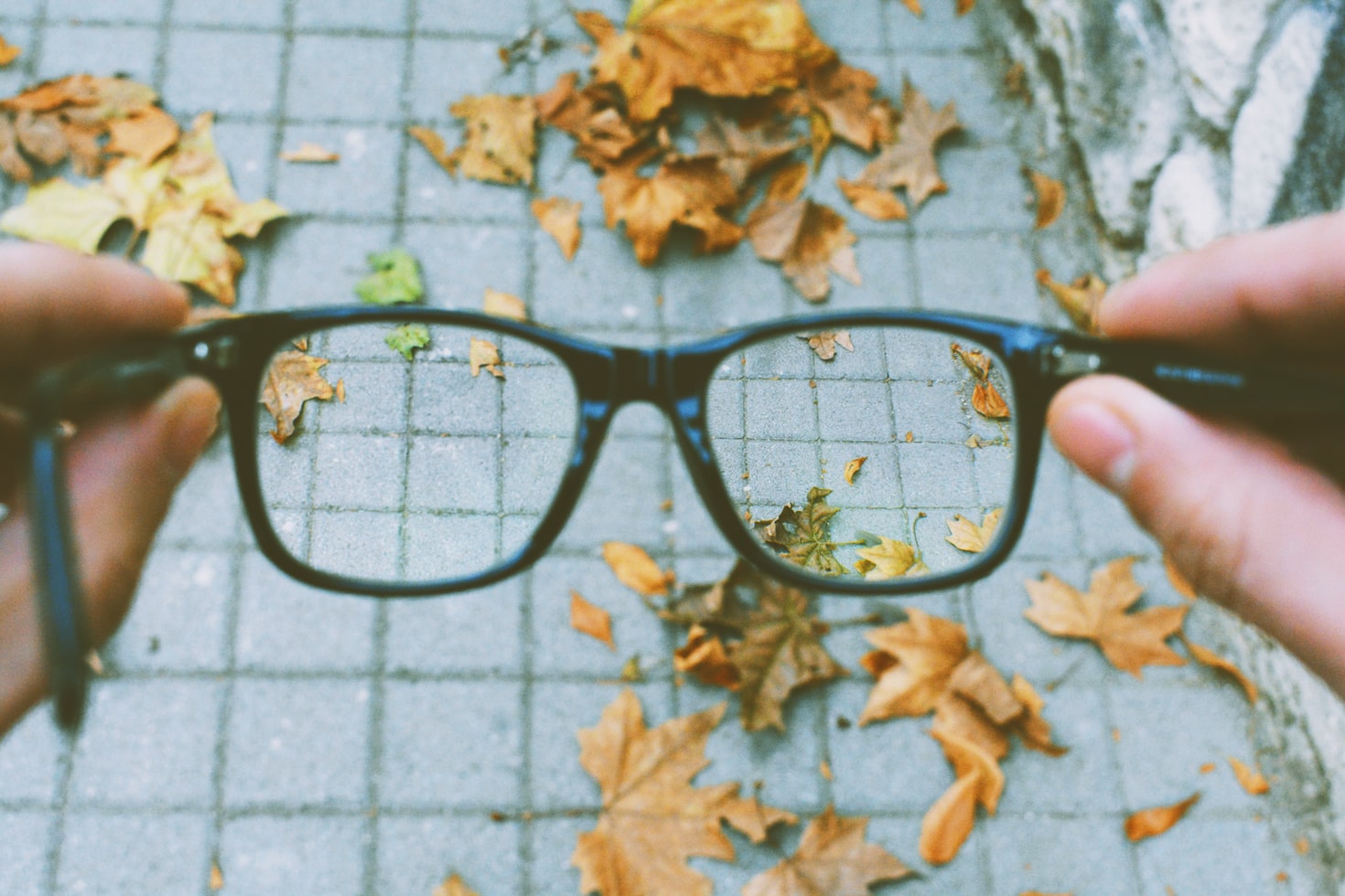Nearsighted vs Farsighted