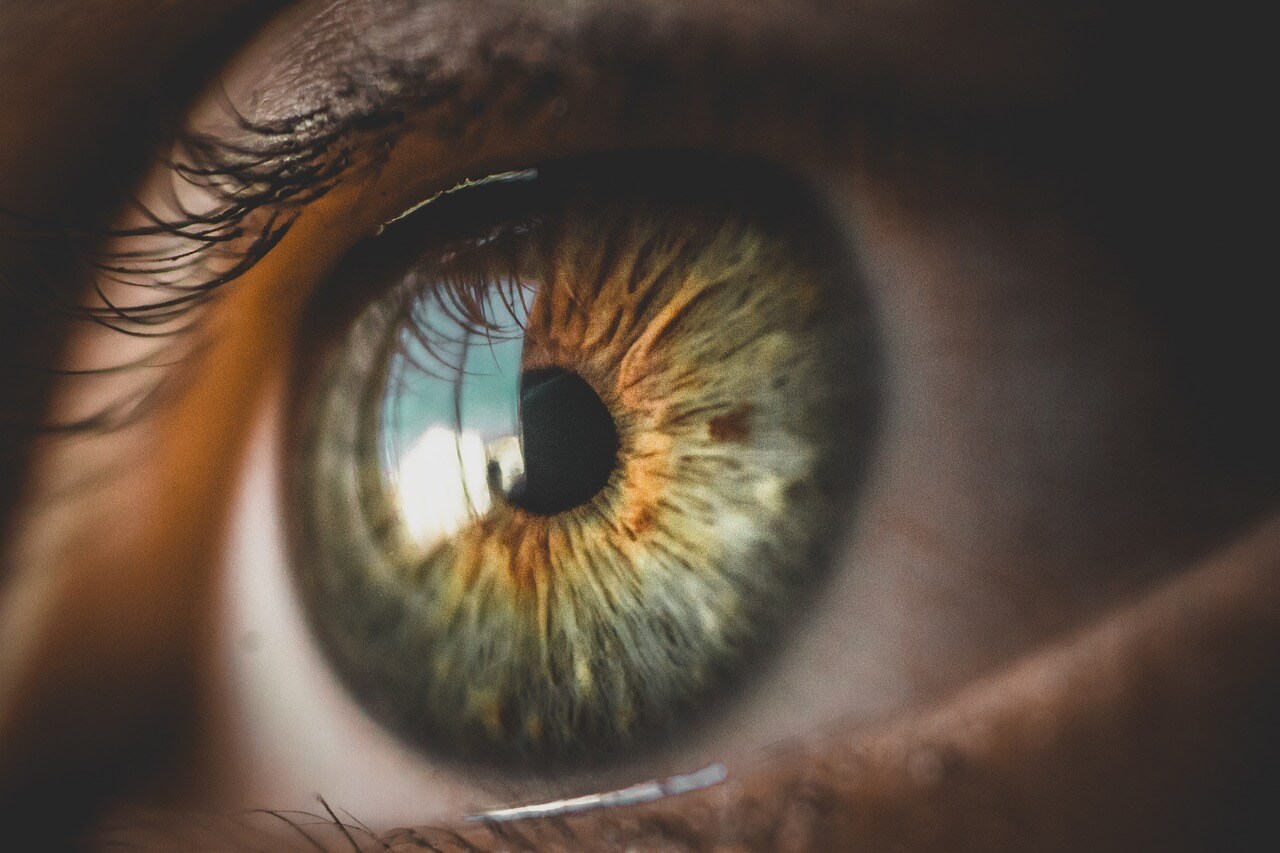 Revolutionizing Eye Care: The Rise of Mobile Eye Exam Services